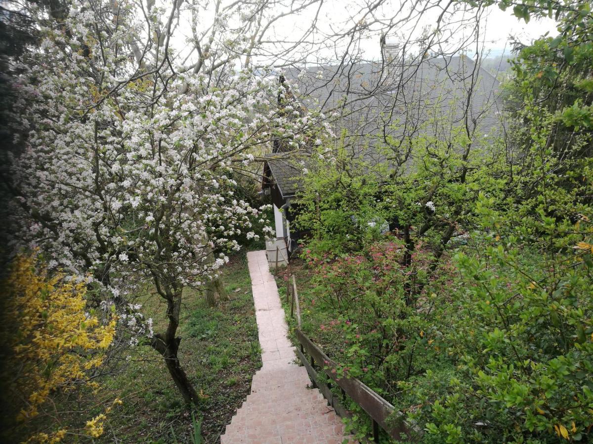 Holiday House Cervena Veza Piest'any Exterior photo